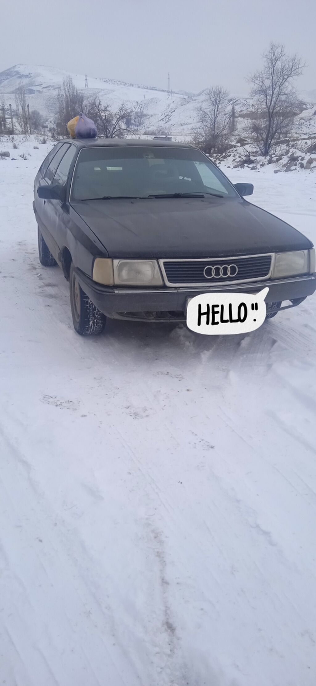 Audi 100