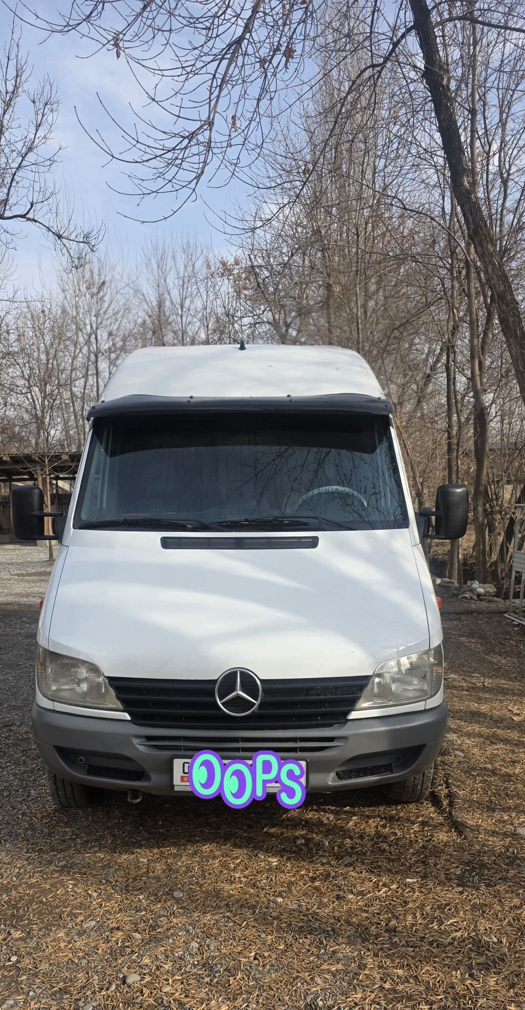 Mercedes-Benz Спринтер