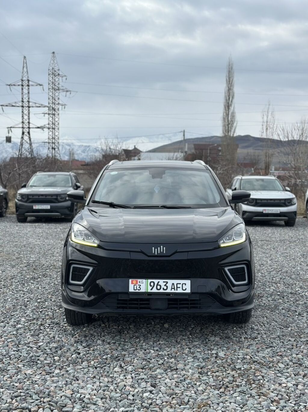 Weltmeister EX5, 2020 г., 82265 км, Передний, В наличии