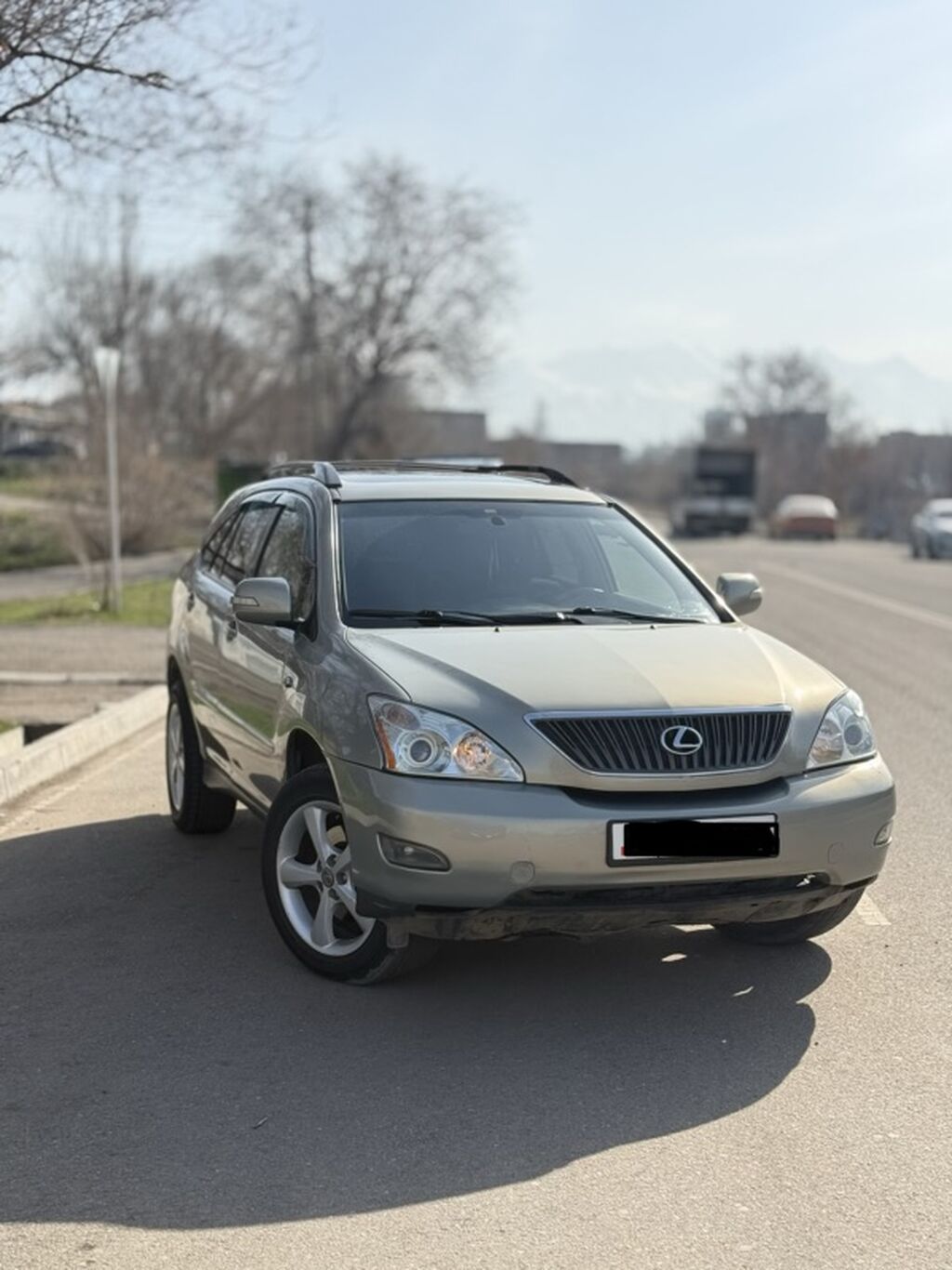 Lexus RX