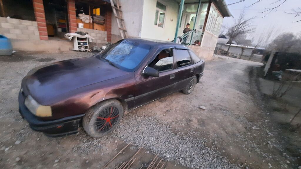 Фото 2