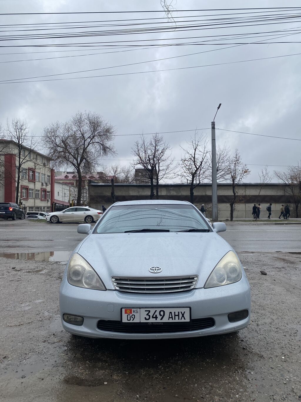 Toyota Windom
