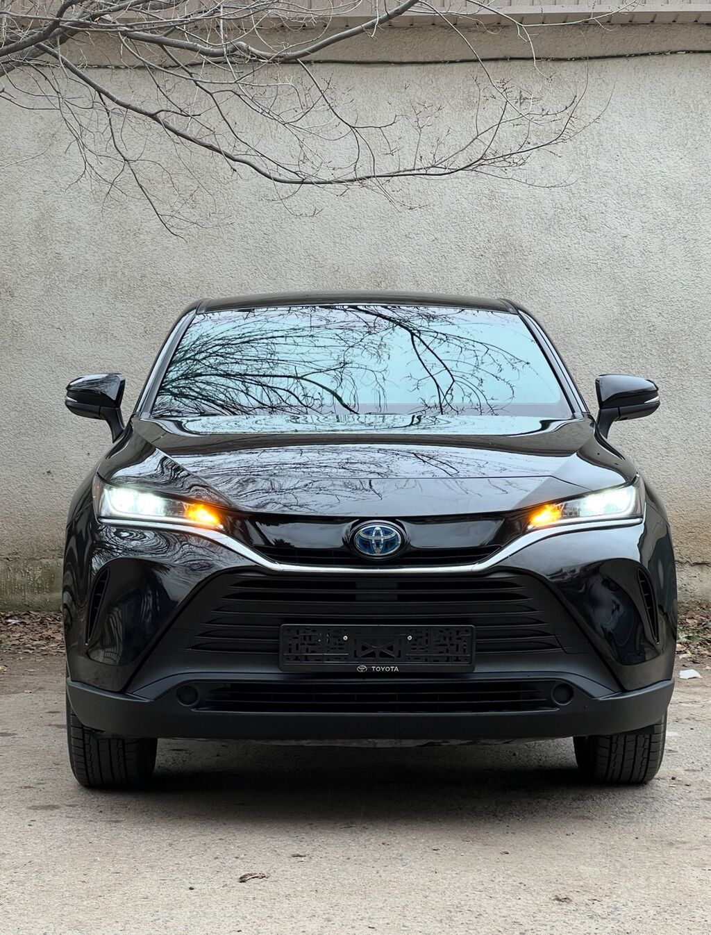 Toyota Venza