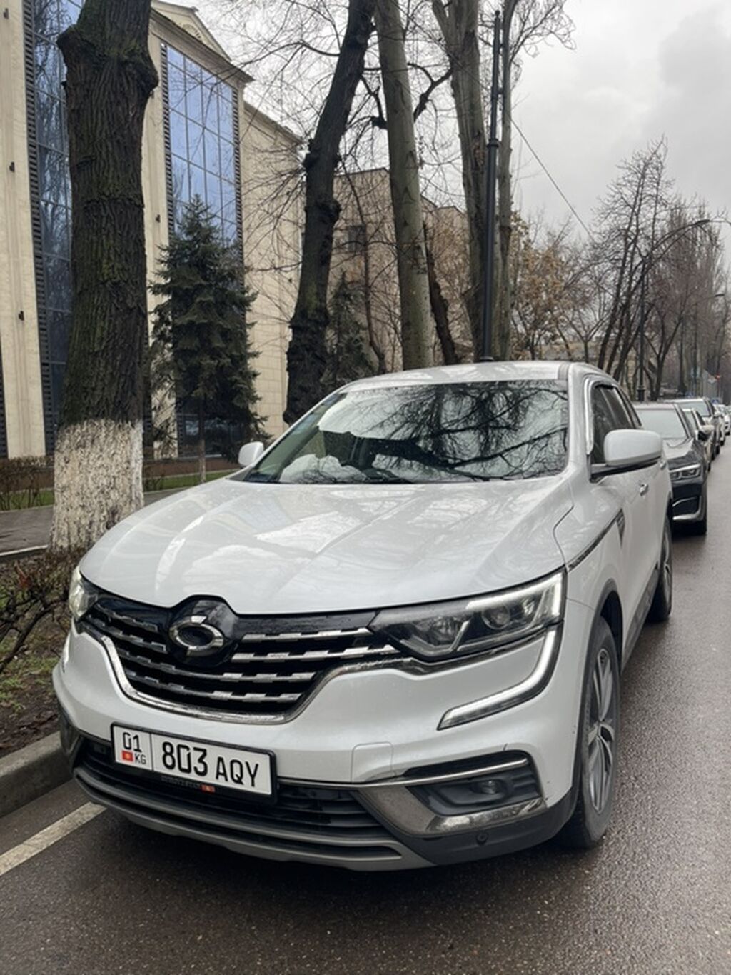 Renault QM6
