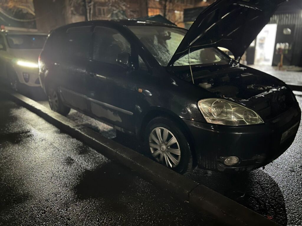 Toyota Ipsum