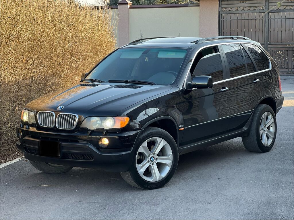 BMW X5