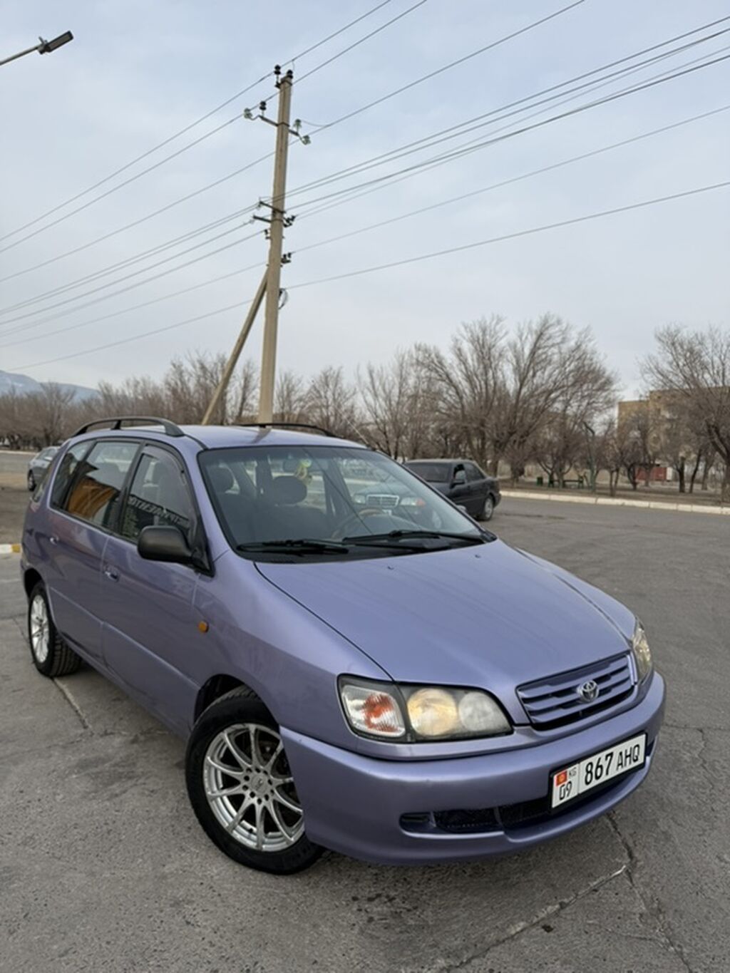Toyota Picnic