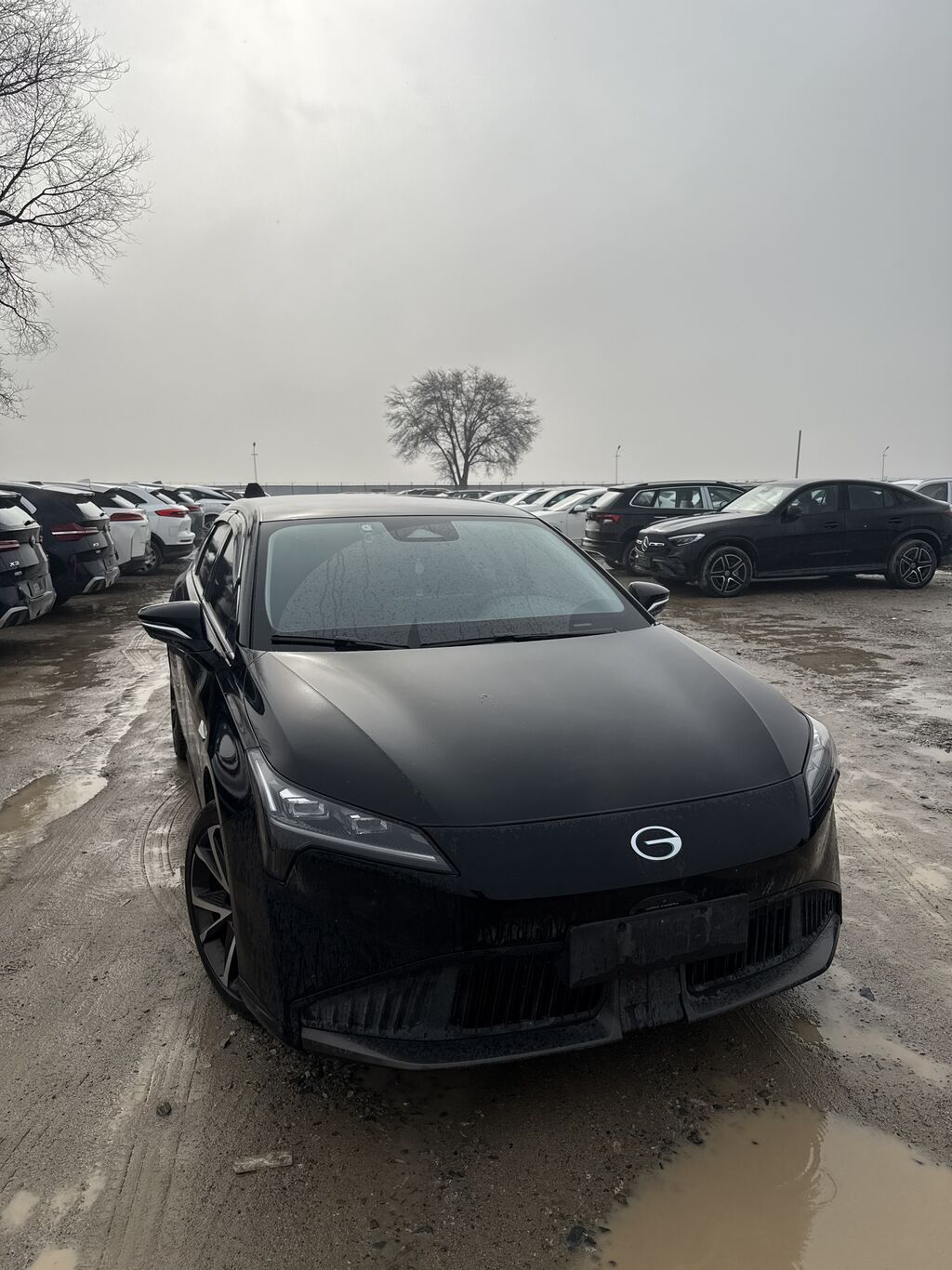 Gac Aion S Plus 🇨🇳 Год