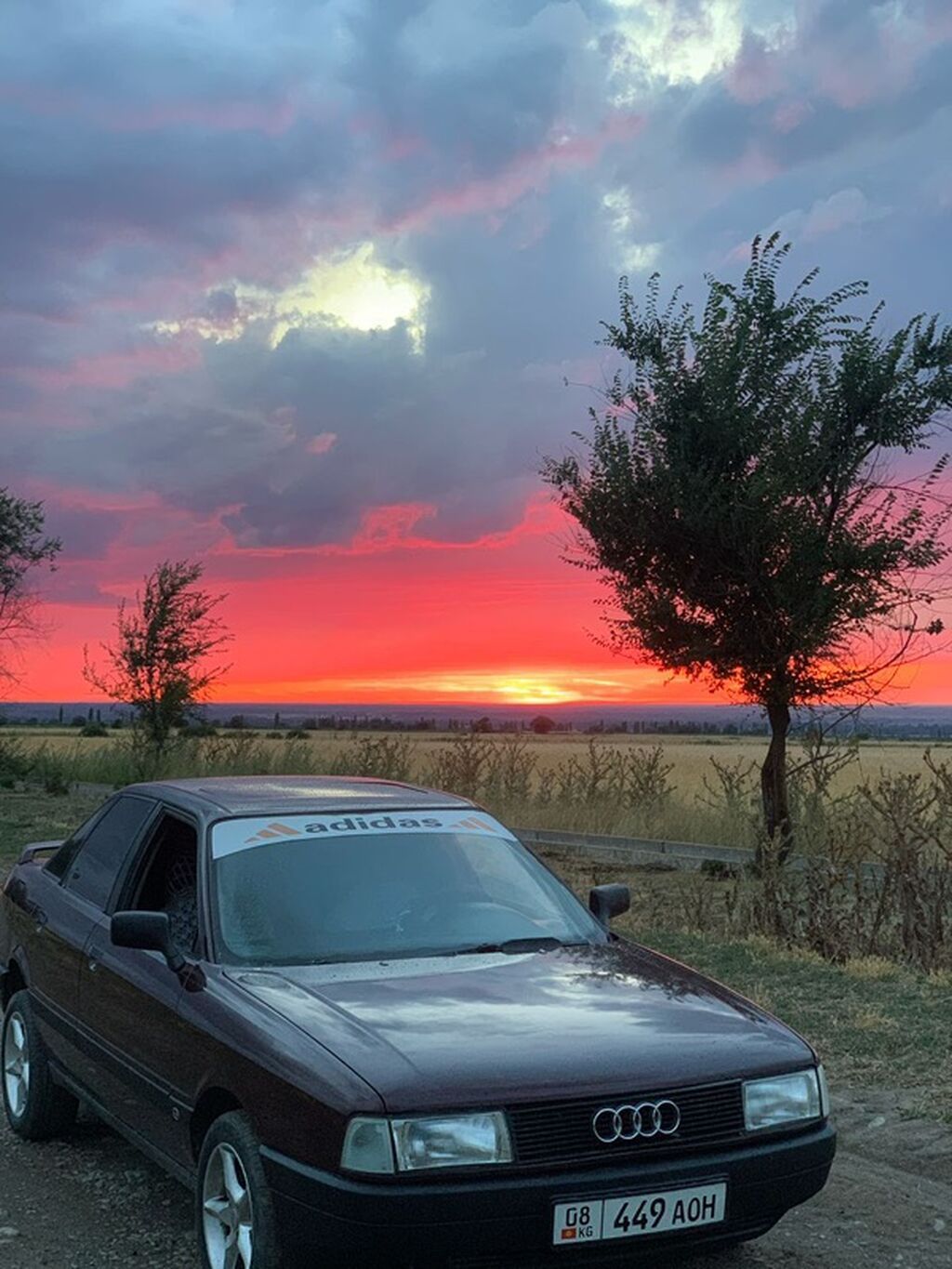Фото 4