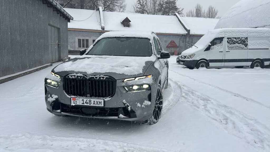 BMW X7