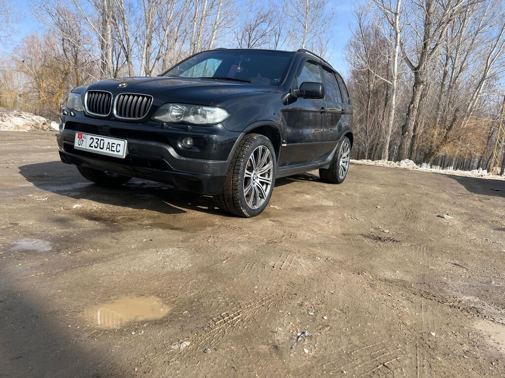 BMW X5