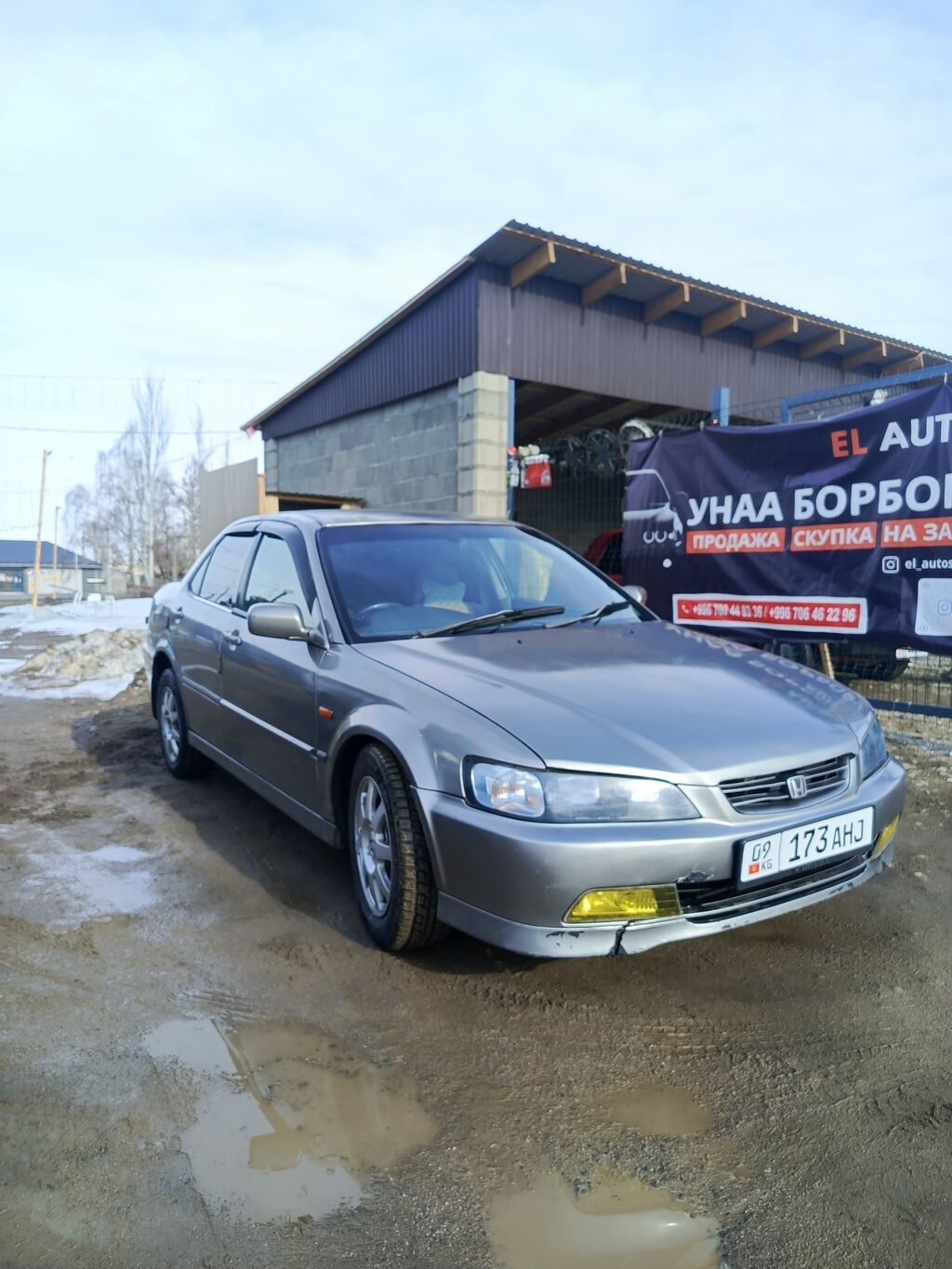 Honda Accord