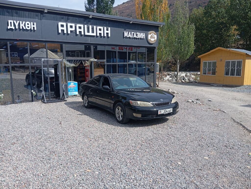 Toyota Windom