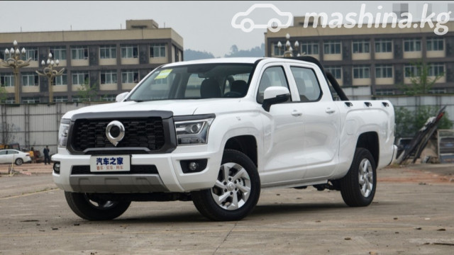 Great Wall Poer King Kong