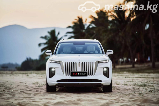 Hongqi E-HS9