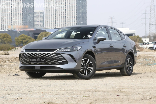 BYD Qin