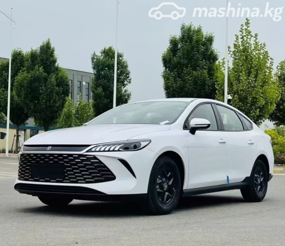 BYD Qin