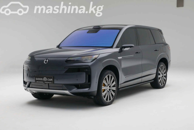 Denza N9