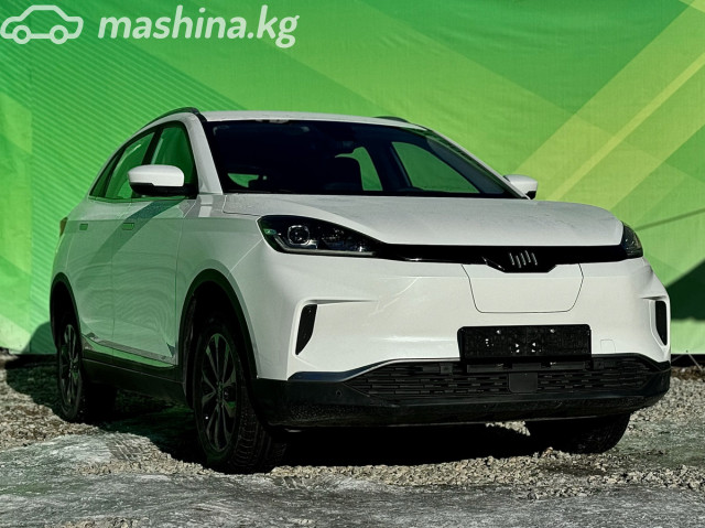 Weltmeister EX5