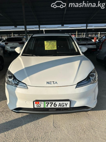 Neta V