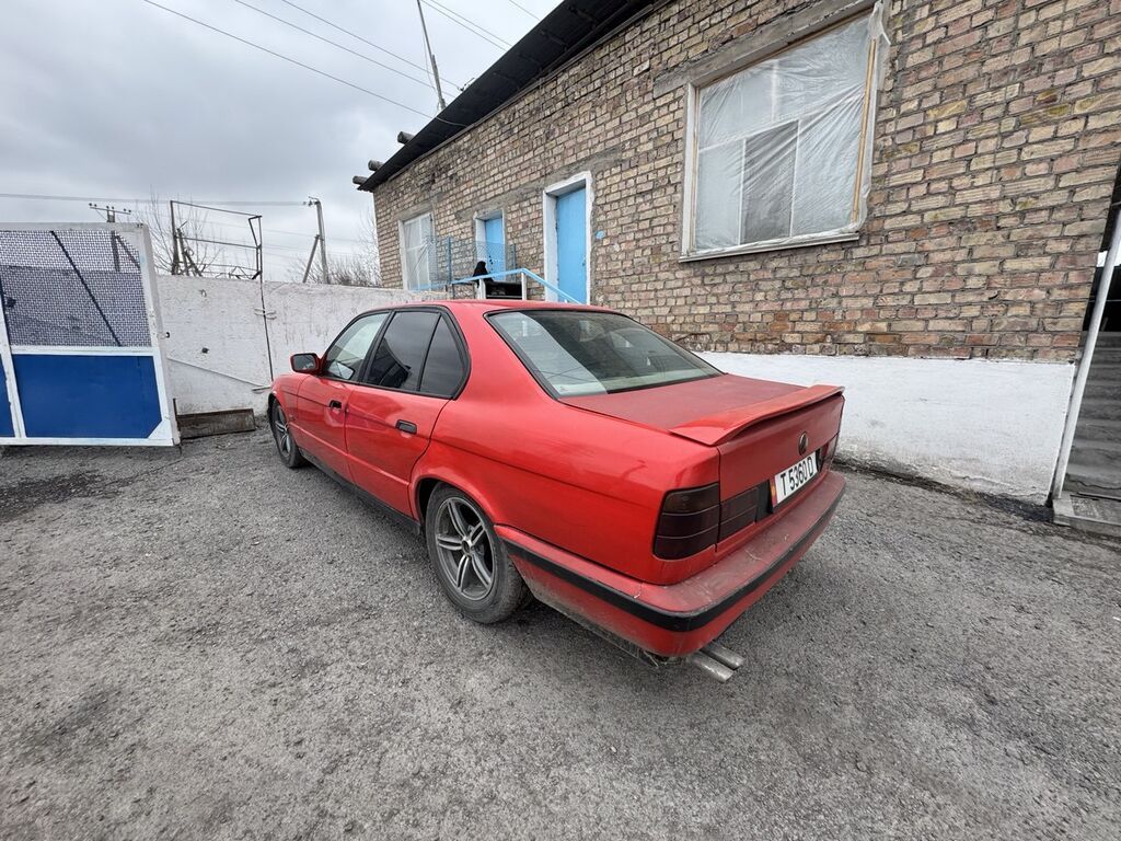 Фото 4