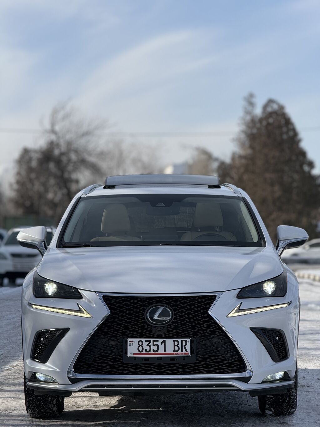 Lexus NX