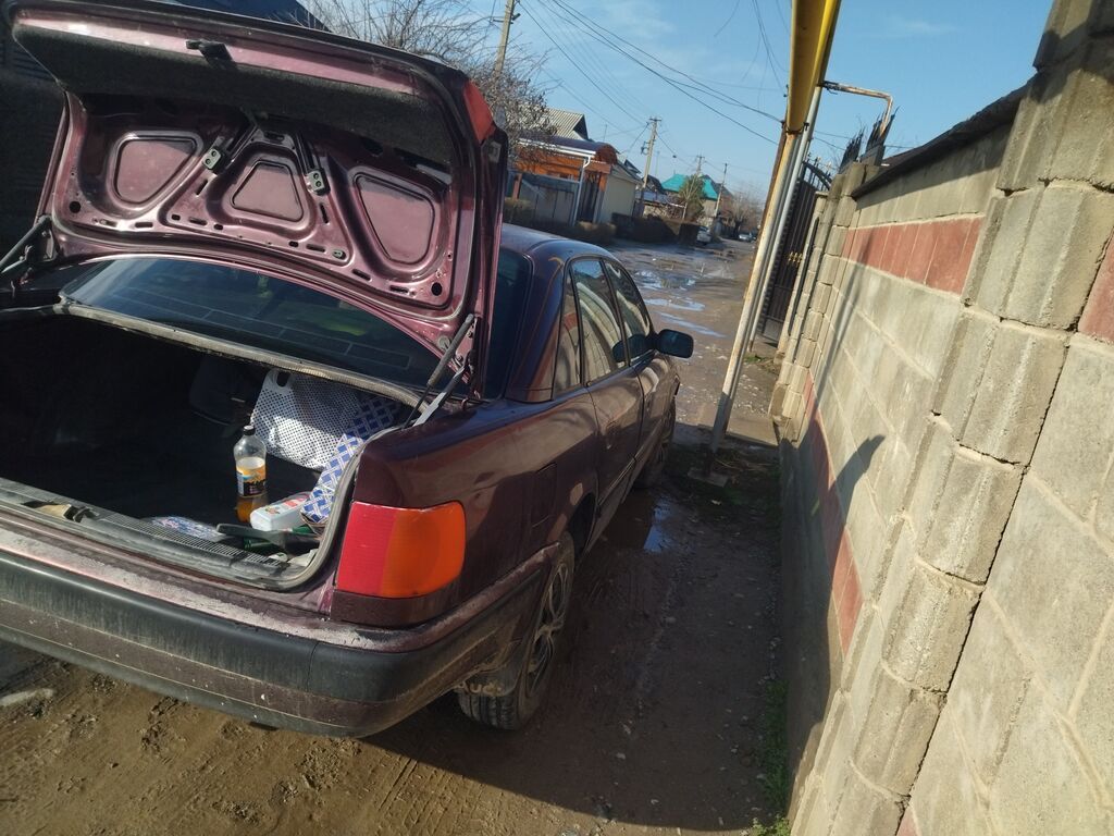Audi 100