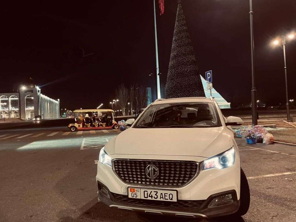 MG ZS