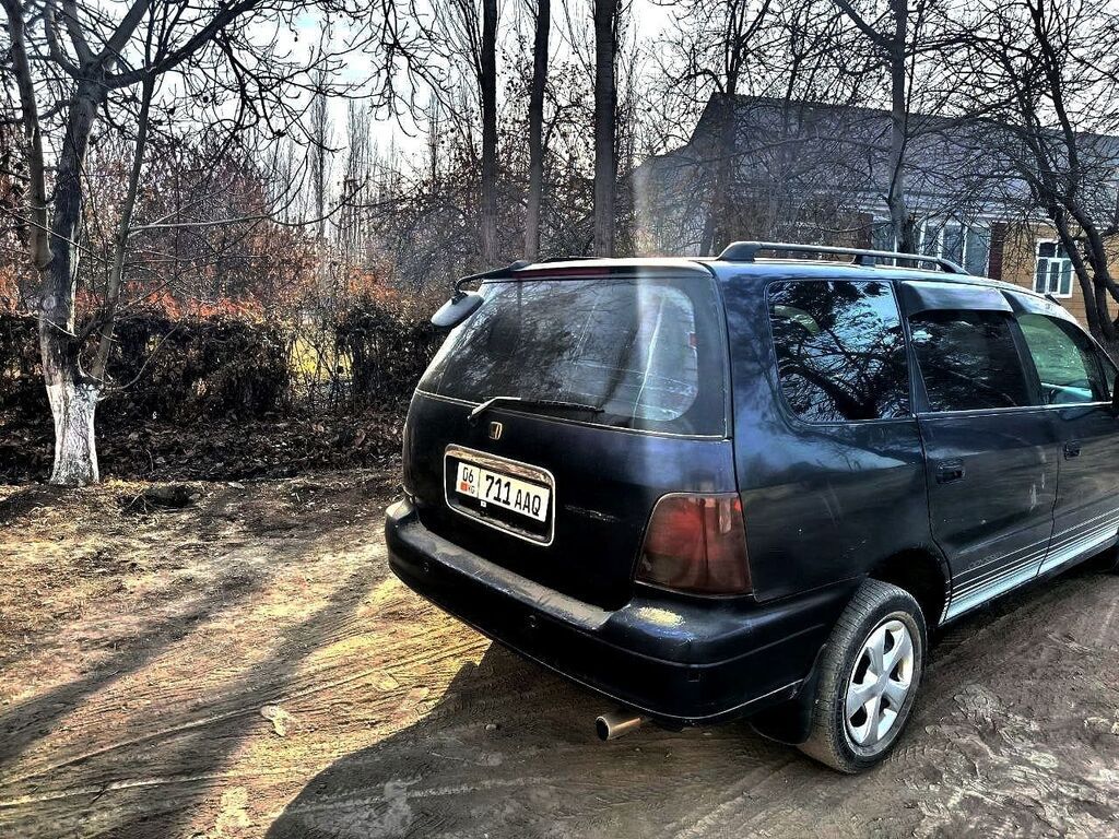 Фото 3