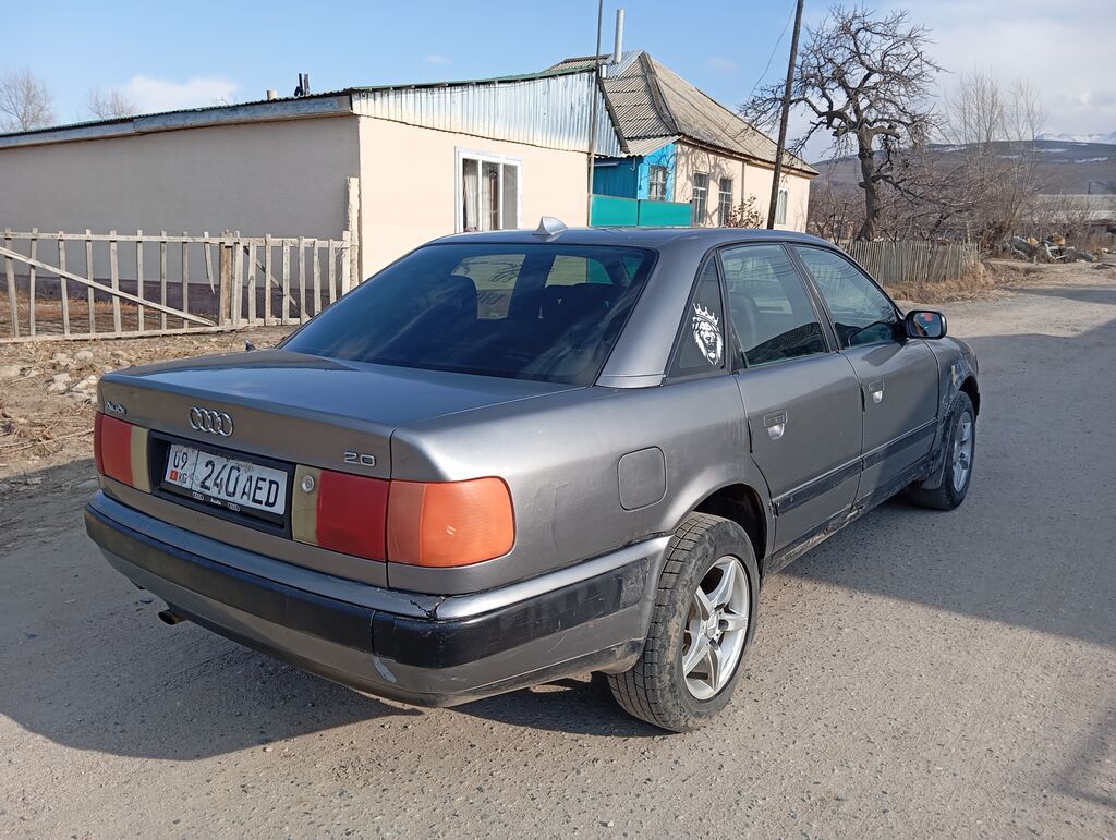 Audi 100
