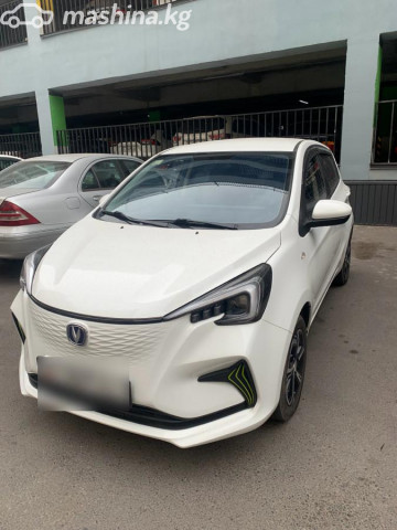 Changan Benben E-Star
