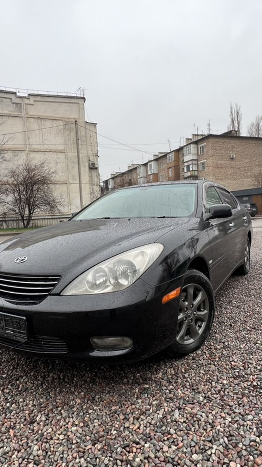 Toyota Windom