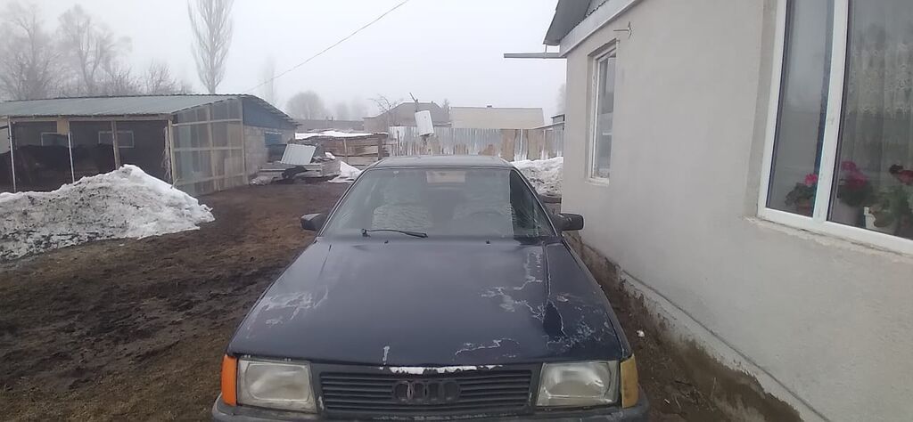 Audi 100