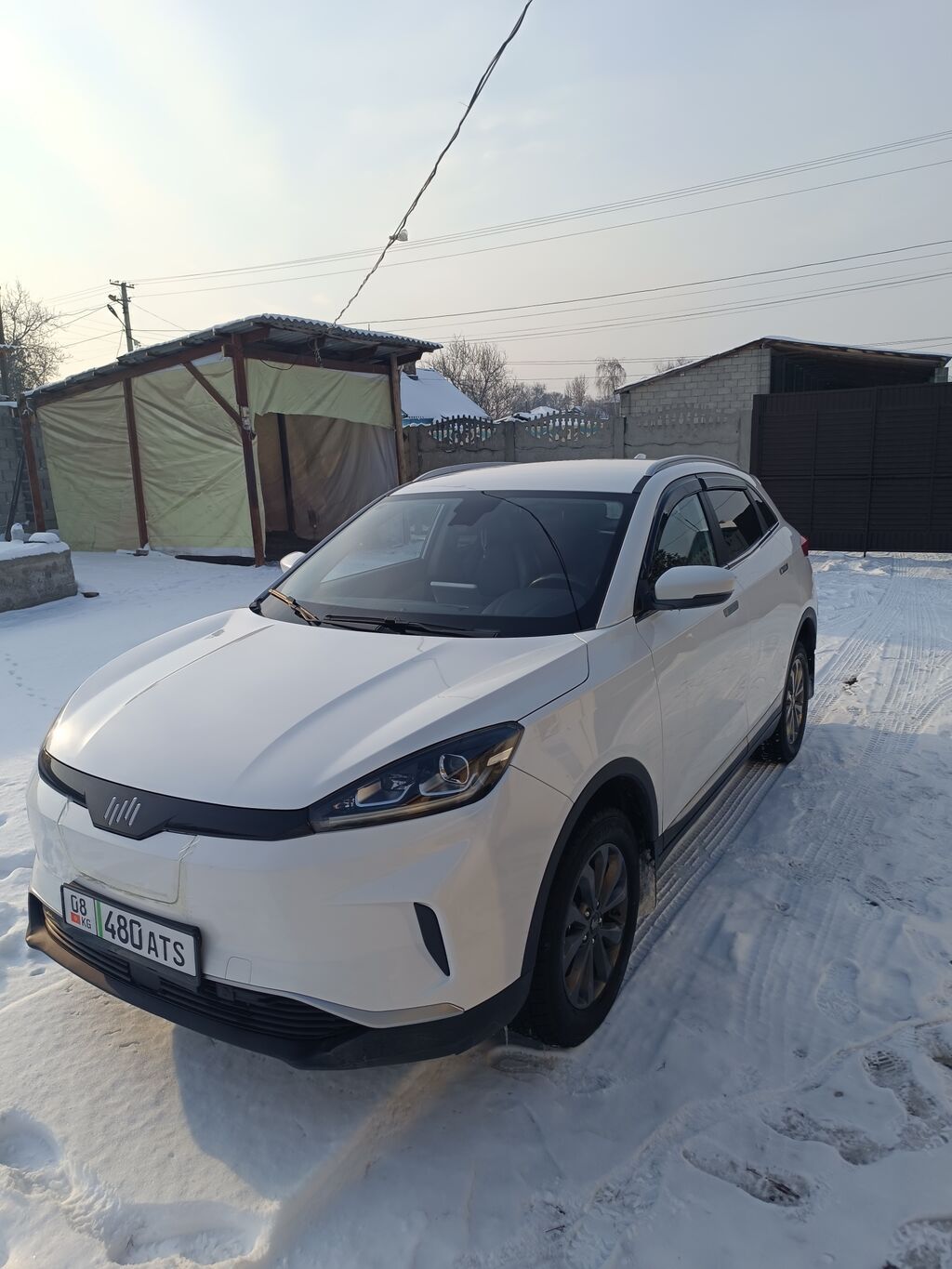 Weltmeister EX5, 2021 г., 88000 км, Передний