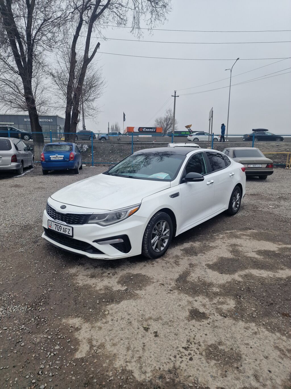 Kia Optima