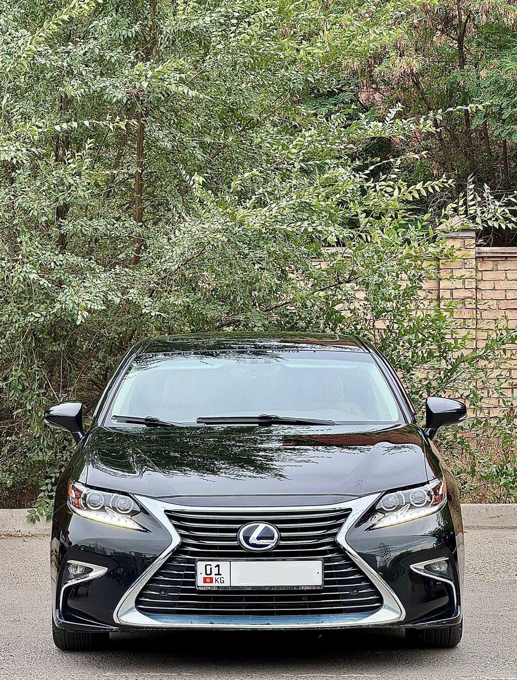 Фото 2