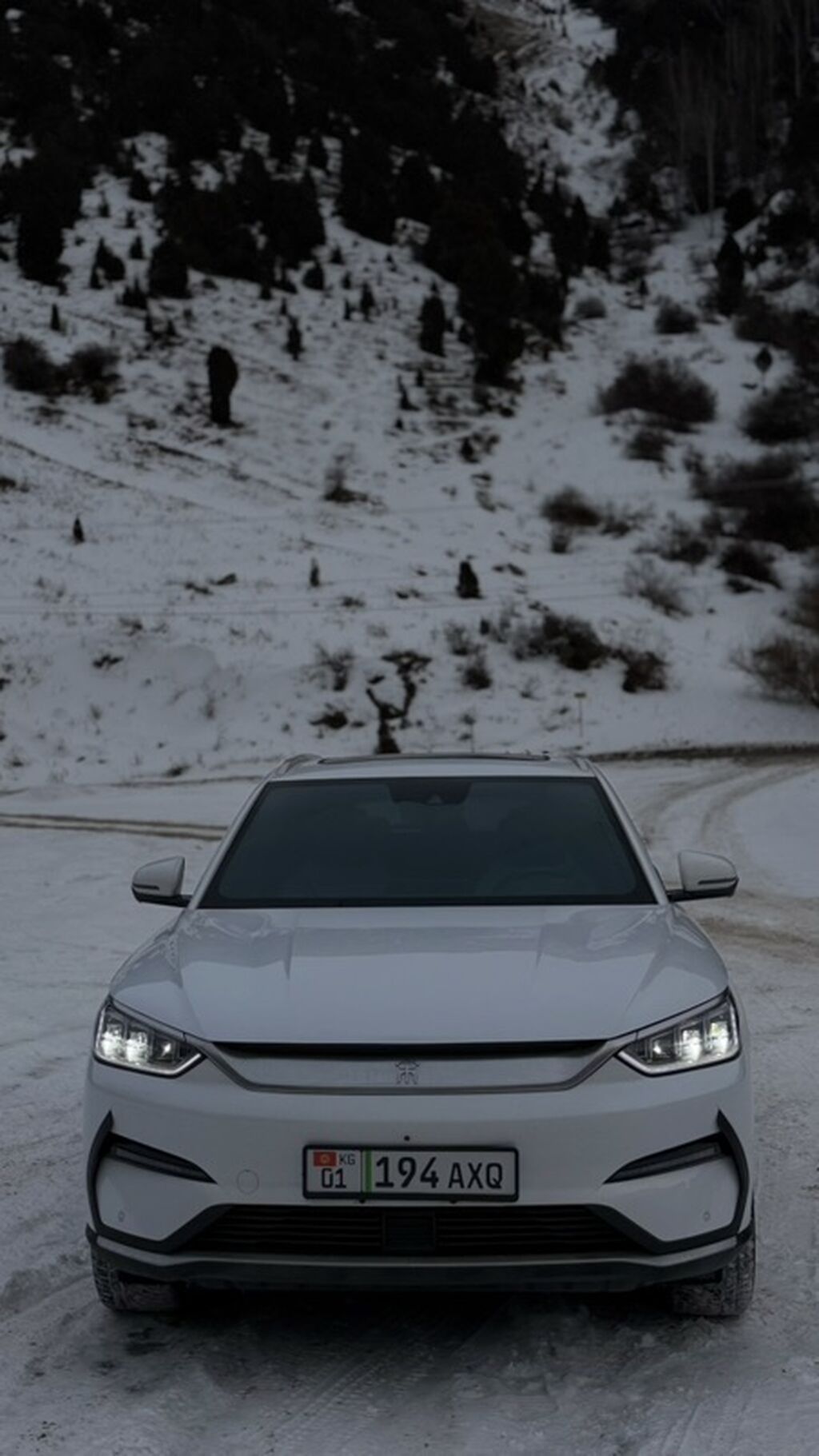 BYD Song Plus