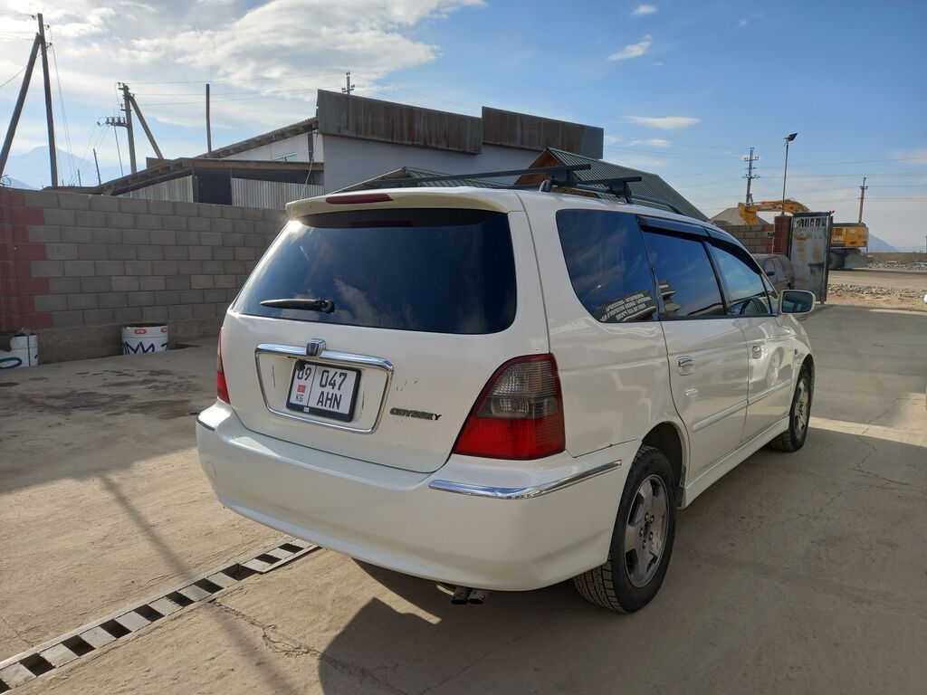 Фото 4