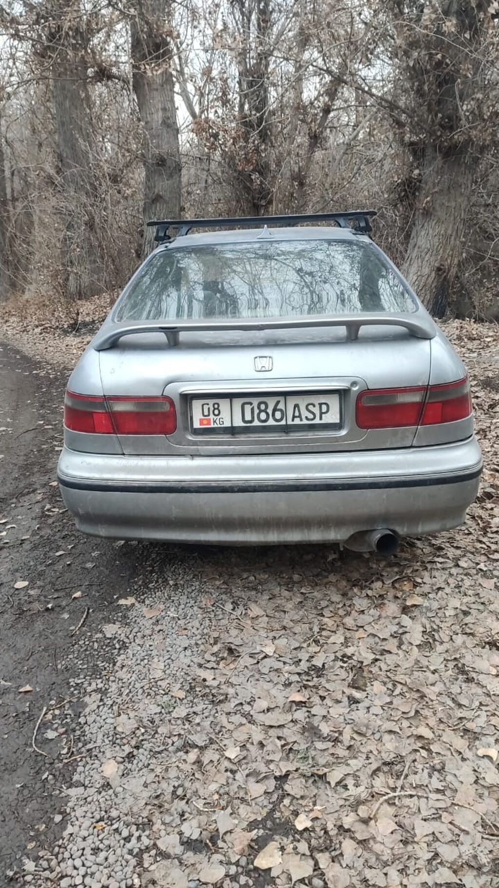 Фото 2