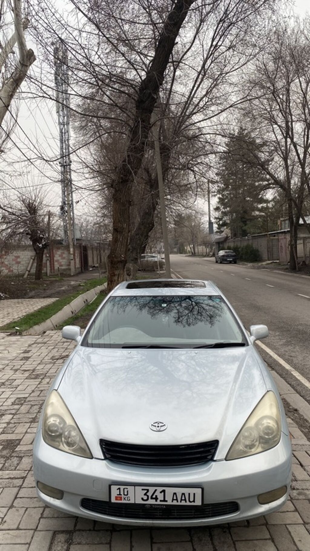 Toyota Windom