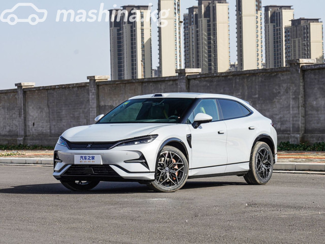 BYD Song L