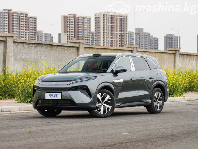 BYD Tang L