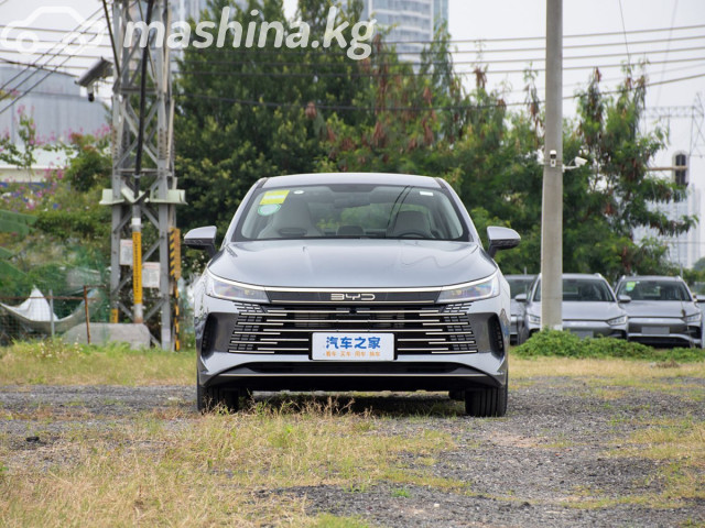 BYD Destroyer 05