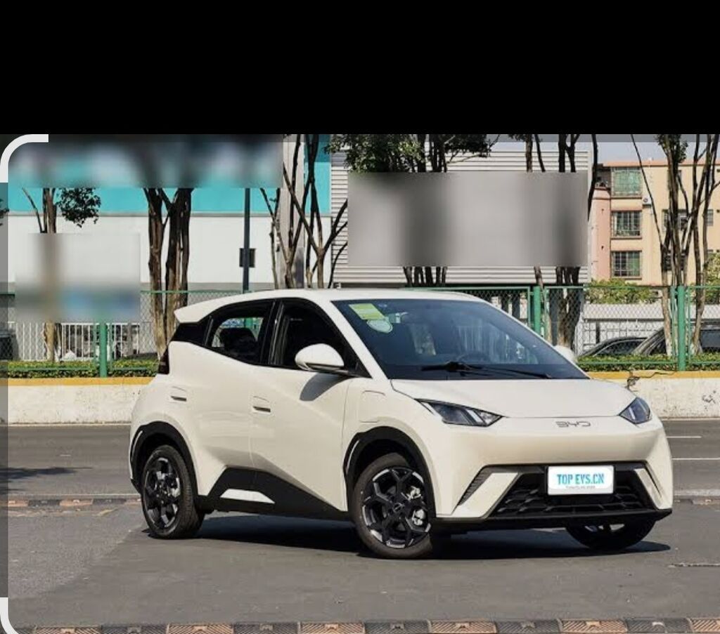 BYD Seagull
