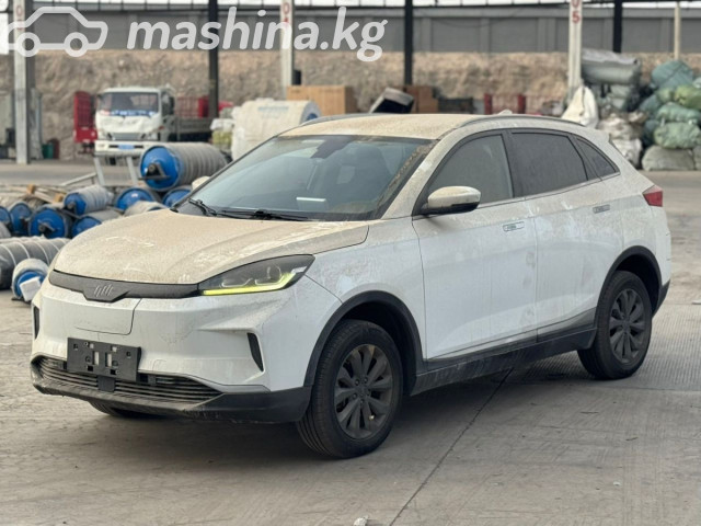 Weltmeister EX5