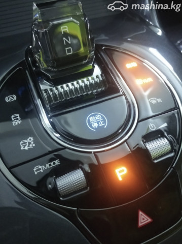 BYD E2