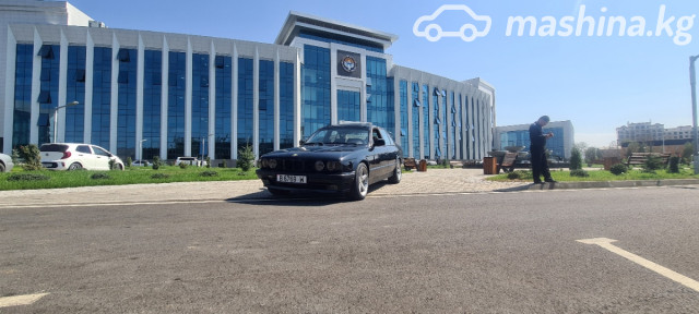 Ещё фото