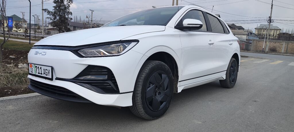 BYD E2