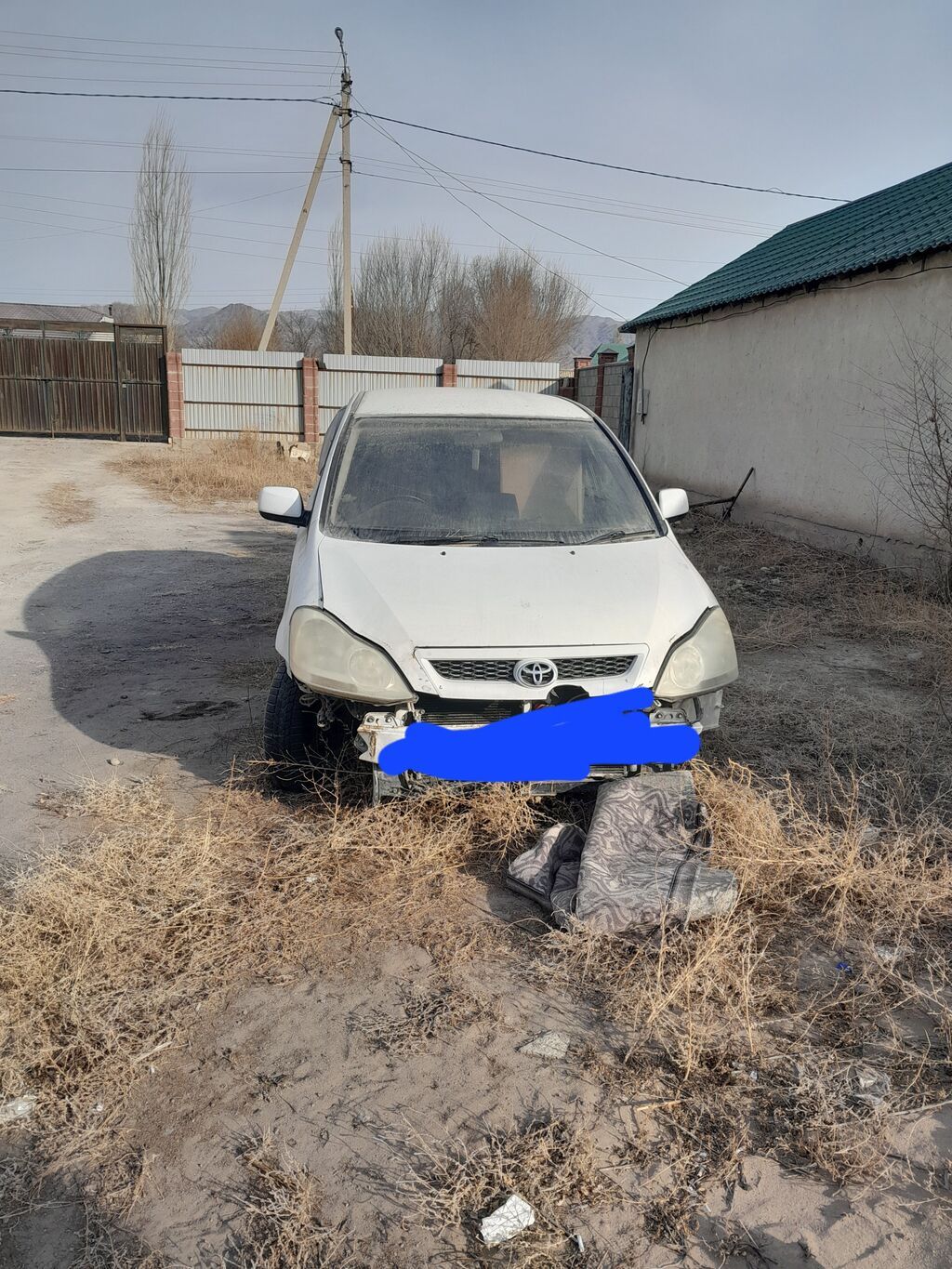 Toyota Ipsum