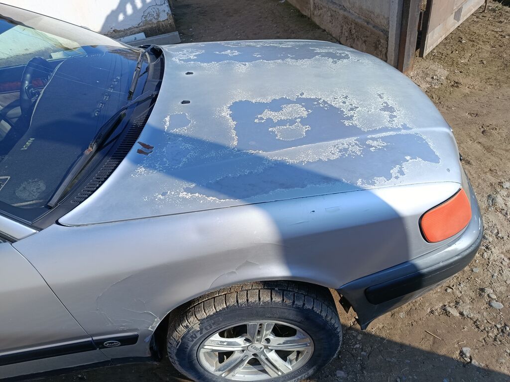 Audi 100